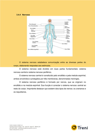 3.4.4 Nervoso
O sistema nervoso estabelece comunicação entre as diversas partes do
corpo, elaborando respostas aos estímulos.
O sistema nervoso está dividido em duas partes fundamentais: sistema
nervoso central e sistema nervoso periférico.
O sistema nervoso central é constituído pelo encéfalo e pela medula espinhal,
ambos envolvidos e protegidos por três membranas, denominadas meninges.
O sistema nervoso periférico é formado por nervos, que se originam no
encéfalo e na medula espinhal. Sua função é conectar o sistema nervoso central ao
resto do corpo. Importante destacar que existem dois tipos de nervos: os cranianos e
os raquidianos.
 
