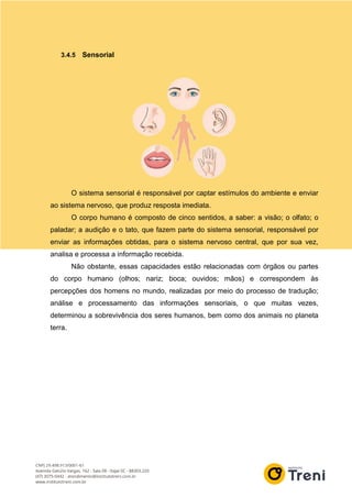 3.4.5 Sensorial
O sistema sensorial é responsável por captar estímulos do ambiente e enviar
ao sistema nervoso, que produz resposta imediata.
O corpo humano é composto de cinco sentidos, a saber: a visão; o olfato; o
paladar; a audição e o tato, que fazem parte do sistema sensorial, responsável por
enviar as informações obtidas, para o sistema nervoso central, que por sua vez,
analisa e processa a informação recebida.
Não obstante, essas capacidades estão relacionadas com órgãos ou partes
do corpo humano (olhos; nariz; boca; ouvidos; mãos) e correspondem às
percepções dos homens no mundo, realizadas por meio do processo de tradução;
análise e processamento das informações sensoriais, o que muitas vezes,
determinou a sobrevivência dos seres humanos, bem como dos animais no planeta
terra.
 