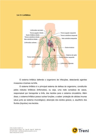 3.4.13 Linfático
O sistema linfático defende o organismo de infecções, detectando agentes
invasores e toxinas na linfa.
O sistema linfático é o principal sistema de defesa do organismo, constituído
pelos nódulos linfáticos (linfonodos), ou seja, uma rede complexa de vasos,
responsável por transportar a linfa, dos tecidos para o sistema circulatório. Além
disso, o sistema linfático possui outras funções, a saber: proteção de células imunes
(atua junto ao sistema imunológico); absorção dos ácidos graxos; e, equilíbrio dos
fluídos (líquidos) nos tecidos.
 