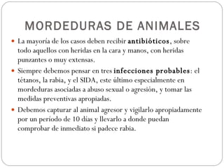 MORDEDURAS DE ANIMALES  <ul><li>La mayoría de los casos deben recibir  antibióticos , sobre todo aquellos con heridas en l...