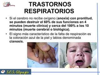 TRASTORNOS RESPIRATORIOS  Si el cerebro no recibe oxígeno ( anoxia) con prontitud, se pueden destruir el 60% de sus funciones en 4 minutos (muerte clínica) y cerca del 100% a los 10 minutos (muerte cerebral o biológica).  El signo más característico de la falta de respiración es la coloración azul de la piel y labios denominada  cianosis.  