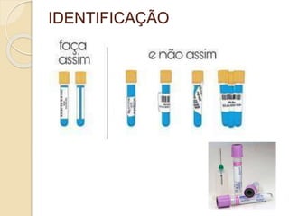 IDENTIFICAÇÃO
 