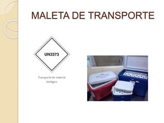 MALETA DE TRANSPORTE
 