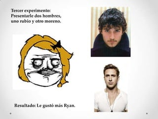 Tercer experimento:
Presentarle dos hombres,
uno rubio y otro moreno.




 Resultado: Le gustó más Ryan.
 