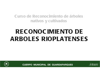 Curso de Reconocimiento de árboles  nativos y cultivados  RECONOCIMIENTO DE ARBOLES RIOPLATENSES 