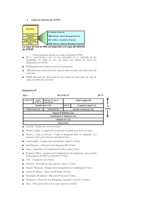 Capa de Internet de TCP/IP
Datagrama IP
 