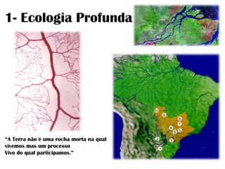 1- Ecologia Profunda
“A Terra não é uma rocha morta na qual
vivemos mas um processo
Vivo do qual participamos.”
 