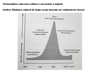Permacultura: uma nova cultura é necessária e urgente
Gráfico: Dinâmica cultural de larga escala baseada em combustíveis fósseis
 