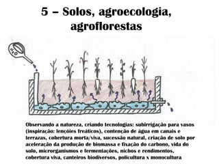 Curso Permacultura EcoVIDA São Miguel - Guia de Permacultura