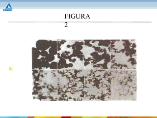 FIGURA
2
 