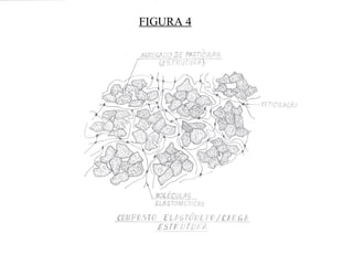 FIGURA 4
 