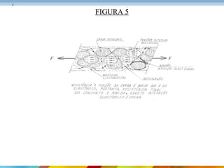 FIGURA 5
 