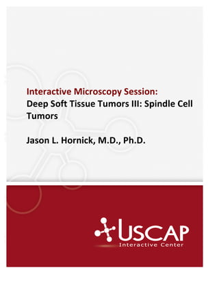  
	
  
  
Interactive	
  Microscopy	
  Session:	
  	
  
Deep	
  Soft	
  Tissue	
  Tumors	
  III:	
  Spindle	
  Cell	
  
Tumors	
  
	
  
Jason	
  L.	
  Hornick,	
  M.D.,	
  Ph.D.	
  
	
  
 