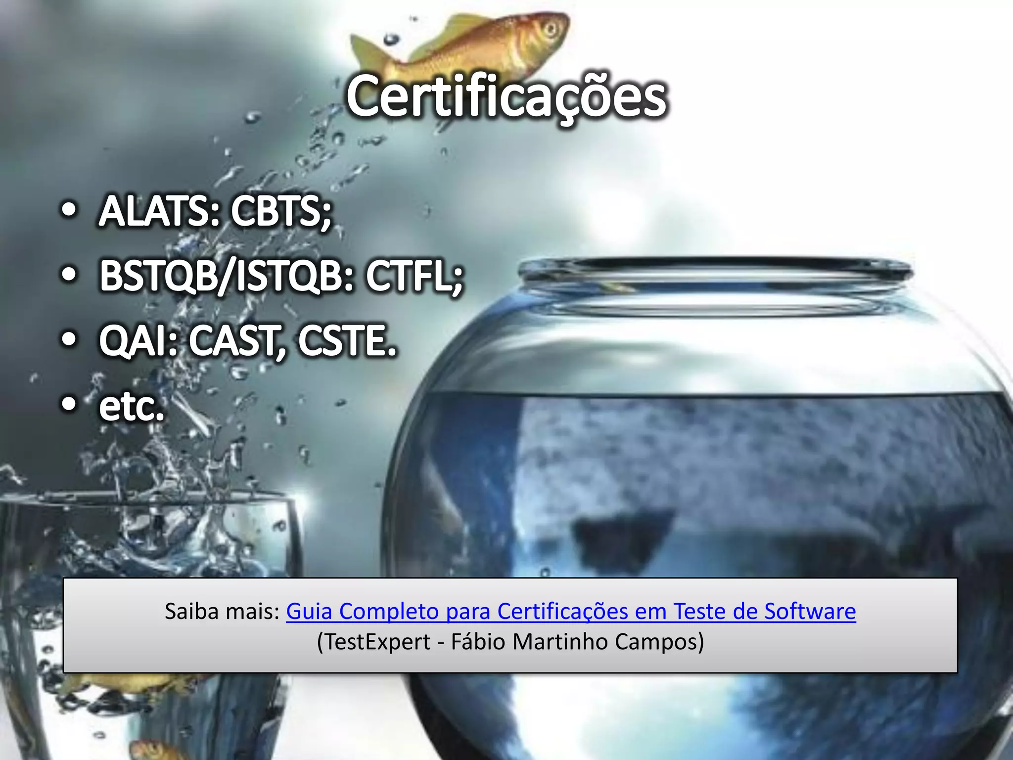 Saiba mais: Guia Completo para Certificações em Teste de Software
              (TestExpert - Fábio Martinho Campos)
 