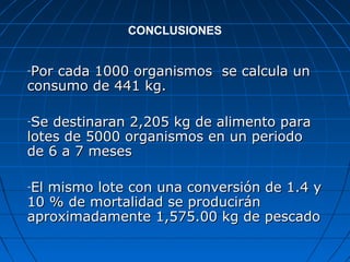 CONCLUSIONES


-Por cada 1000 organismos se calcula un
consumo de 441 kg.

-Se destinaran 2,205 kg de alimento para
lotes de 5000 organismos en un periodo
de 6 a 7 meses

El mismo lote con una conversión de 1.4 y
-

10 % de mortalidad se producirán
aproximadamente 1,575.00 kg de pescado
 