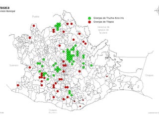 Granjas de Trucha Arco iris
Granjas de Tilapia
 