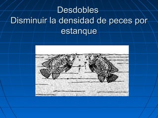 Desdobles
Disminuir la densidad de peces por
             estanque
 