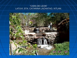 “CARA DE LEON”
LATUVI, STA. CATARINA LACHATAO, IXTLAN.
 