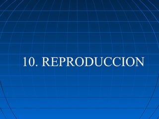 10. REPRODUCCION
 