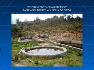 “RECIBIMIENTO CUAUHTEMOC”
SANTIAGO TEXTITLAN, SOLA DE VEGA.
 