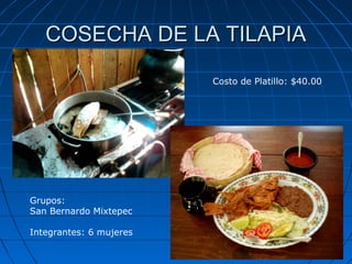 COSECHA DE LA TILAPIA

                         Costo de Platillo: $40.00




Grupos:
San Bernardo Mixtepec

Integrantes: 6 mujeres
 