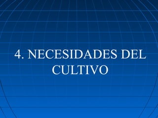 4. NECESIDADES DEL
      CULTIVO
 