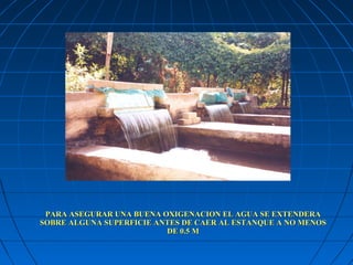 PARA ASEGURAR UNA BUENA OXIGENACION EL AGUA SE EXTENDERA
SOBRE ALGUNA SUPERFICIE ANTES DE CAER AL ESTANQUE A NO MENOS
                          DE 0.5 M
 