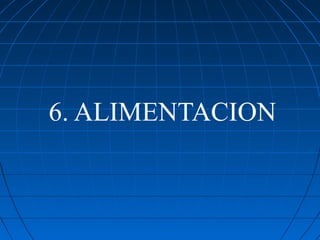 6. ALIMENTACION
 