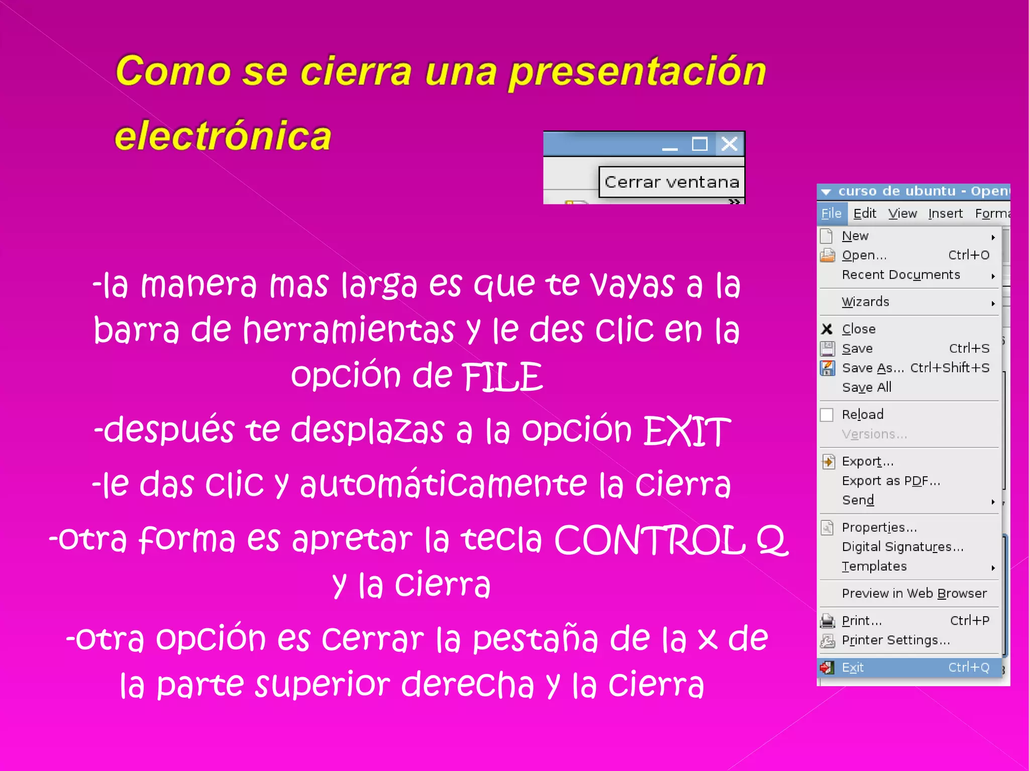 -la manera mas larga es que te vayas a la barra de herramientas y le des clic en la opción de FILE -después te desplazas a la opción EXIT  -le das clic y automáticamente la cierra  -otra forma es apretar la tecla CONTROL Q y la cierra  -otra opción es cerrar la pestaña de la x de la parte superior derecha y la cierra  