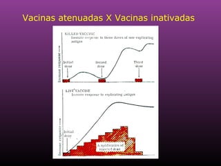 Vacinas atenuadas X Vacinas inativadas 