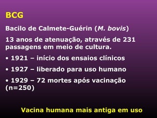 BCG Bacilo de Calmete-Guérin ( M. bovis ) 13 anos de atenuação, através de 231 passagens em meio de cultura. 1921 – início dos ensaios clínicos 1927 – liberado para uso humano 1929 – 72 mortes após vacinação (n=250) Vacina humana mais antiga em uso 