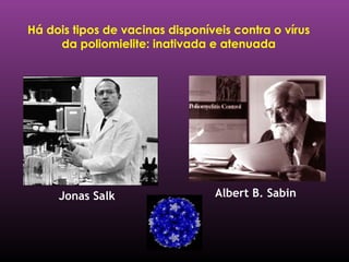 Há dois tipos de vacinas disponíveis contra o vírus da poliomielite: inativada e atenuada Jonas Salk  Albert B. Sabin  