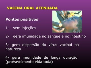VACINA ORAL ATENUADA Pontos positivos 1-  sem injeções 2-  gera imunidade no sangue e no intestino 3- gera dispersão do vírus vacinal na  natureza 4- gera imunidade de longa duração  (provavelmente vida toda)  