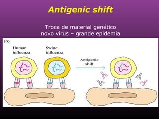 Antigenic shift Troca de material genético novo vírus – grande epidemia 