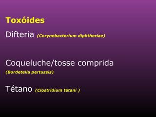 Toxóides  Difteria  (Corynebacterium diphtheriae)   Coqueluche/tosse comprida  (Bordetella pertussis) Tétano  ( Clostridium tetani ) 