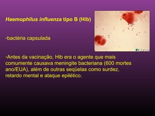 Haemophilus influenza  tipo B (Hib) bactéria capsulada Antes da vacinação, Hib era o agente que mais  comumente causava meningite bacteriana (600 mortes ano/EUA), além de outras seqüelas como surdez, retardo mental e ataque epilético.  