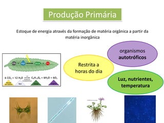 Produção Primária
Estoque de energia através da formação de matéria orgânica a partir da
matéria inorgânica
organismos
autotróficos
Luz, nutrientes,
temperatura
Restrita a
horas do dia
 