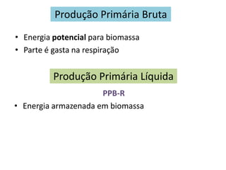 Produção Primária Bruta
• Energia potencial para biomassa
• Parte é gasta na respiração
Produção Primária Líquida
PPB-R
• Energia armazenada em biomassa
 