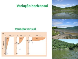 Variação horizontal
Variação vertical
 