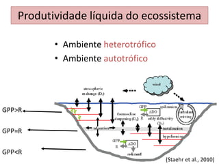 Produtividade líquida do ecossistema
• Ambiente heterotrófico
• Ambiente autotrófico
GPP>R
GPP=R
GPP<R
(Staehr et al., 2010)
 