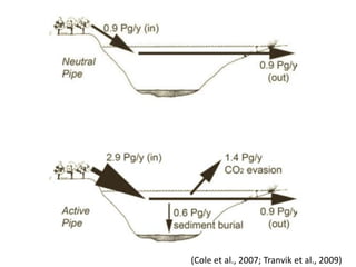 (Cole et al., 2007; Tranvik et al., 2009)
 