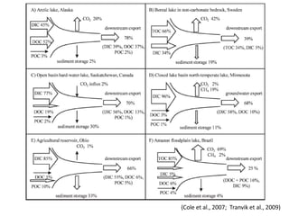 (Cole et al., 2007; Tranvik et al., 2009)
 