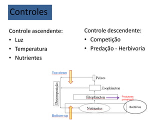 Controle ascendente:
• Luz
• Temperatura
• Nutrientes
Controle descendente:
• Competição
• Predação - Herbivoria
Bactérias
Controles
 