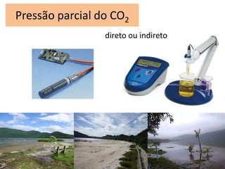 Pressão parcial do CO2
direto ou indireto
 