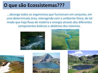 O que são Ecossistemas???
...abrange todos os organismos que funcionam em conjunto, em
uma determinada área, interagindo com o ambiente físico, de tal
modo que haja fluxo de matéria e energia através dos diferentes
componentes bióticos e abióticos dos sistemas.
 