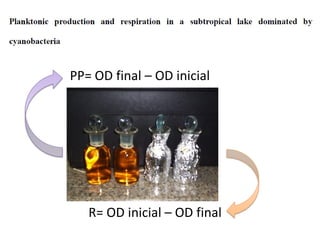 PP= OD final – OD inicial
R= OD inicial – OD final
 