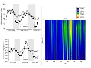 OxigênioDissolvido(mg/L)
6,5
7,0
7,5
8,0
8,5
9,0
Litoral
Pelágico
____________ ____________________ __________
18-02-2014 19-02-2014 20-02-2014
Temperaturadaágua(ºCelsius)
25,5
26,0
26,5
27,0
27,5
28,0
28,5
29,0
29,5
Litoral
Pelágico
____________ ____________________ __________
18-02-2014 19-02-2014 20-02-2014
 