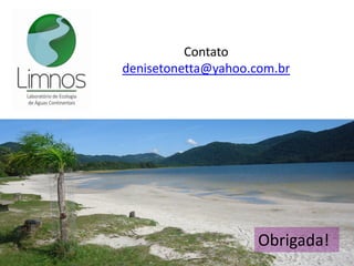 Obrigada!
Contato
denisetonetta@yahoo.com.br
 