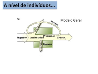A nível de indivíduos...
Modelo Geral
 