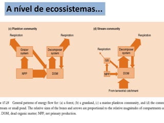 A nível de ecossistemas...
...abrange todos os organismos que funcionam em conjunto, em
uma determinada área, interagindo com o ambiente físico, de tal
modo que haja fluxo de matéria e energia através dos diferentes
componentes bióticos e abióticos dos sistemas.
 